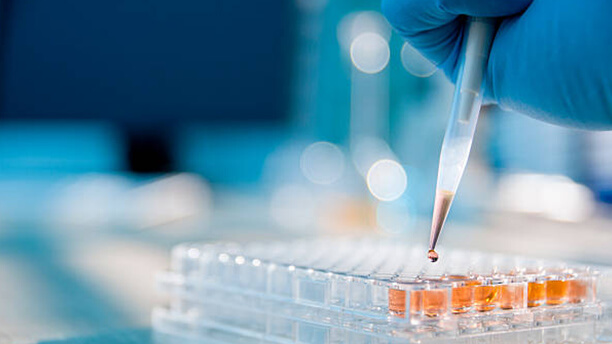 Anhui Wanwei Updated High Tech Material Industry Co Ltd